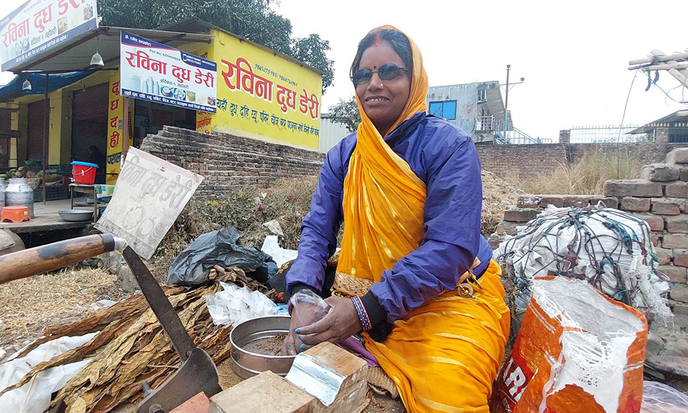 महोत्तरीकी पञ्चीदेवीको जीवन संघर्ष : सूर्ति बेच्दै परिवार धान्दै